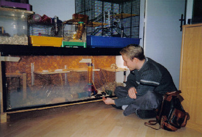 mäusekäfig3.jpg