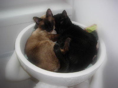 DSCN0734.JPG