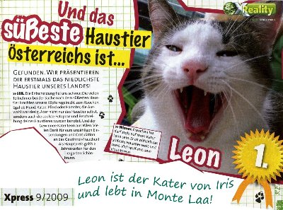 Kater_Leon-1-Platz_www.XPress.at-9-2009-kl.jpg