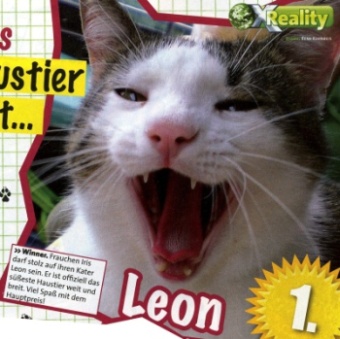 Kater_Leon-1-Platz_www.XPress.at-9-2009-1.jpg