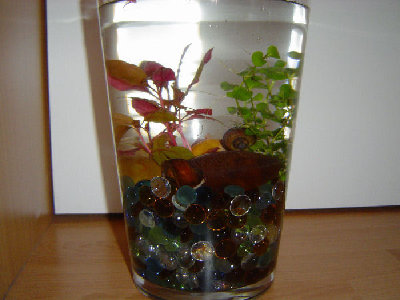Vase.JPG