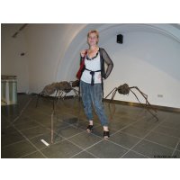 MonteLaa_Krakau_Vorstaedte-20110721-DSC04980.jpg