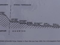 LaeerBergbauern 1 Wie Kommt Der Lehm Auf Den LaaerBerg K7 20170606 183809