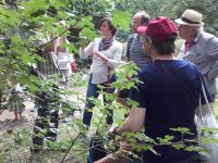 LaeerBergbauern 2 Landschaften Und Vegetation Im Wandel 20170616 173802