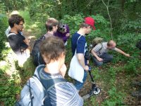 LaeerBergbauern 2 Landschaften Und Vegetation Im Wandel 20170616 183255