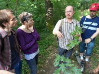 LaeerBergbauern 2 Landschaften Und Vegetation Im Wandel 20170616 183531