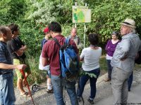 LaeerBergbauern 2 Landschaften Und Vegetation Im Wandel 20170616 184740