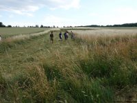 LaeerBergbauern 2 Landschaften Und Vegetation Im Wandel 20170616 184751