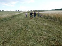 LaeerBergbauern 2 Landschaften Und Vegetation Im Wandel 20170616 184752