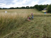 LaeerBergbauern 2 Landschaften Und Vegetation Im Wandel 20170616 184755