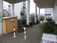 MonteLaa Weihnachtsbaum Verkauf 20121219 151043