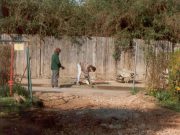 Blick Aus Der Kleingartensiedlung Auf Die Heutige Moselgasse 1997