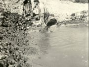 Lehmentnahme Am Wienerberg (Nachgestellt In Den 1960er Jahren)