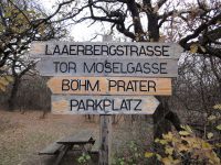 Laaer Wald 20111206 DSC09199