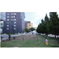 Monte_Laa_Gemeinschaftsgarten_T005-DSC04271.jpg
